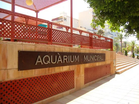 Acuario del Museo del Mar de Santa Pola