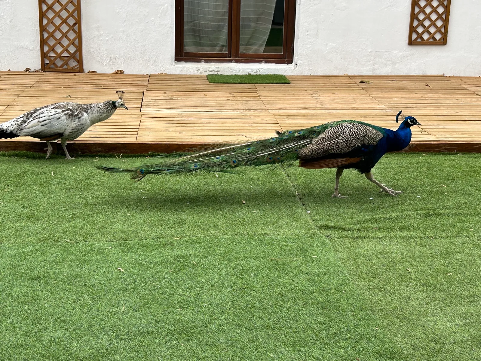 Amalur Madre Tierra La Granja — foto 5
