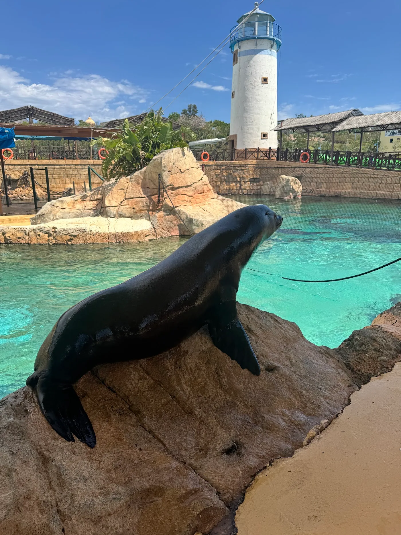 Aqua Natura Benidorm — Parque acuático — foto 10