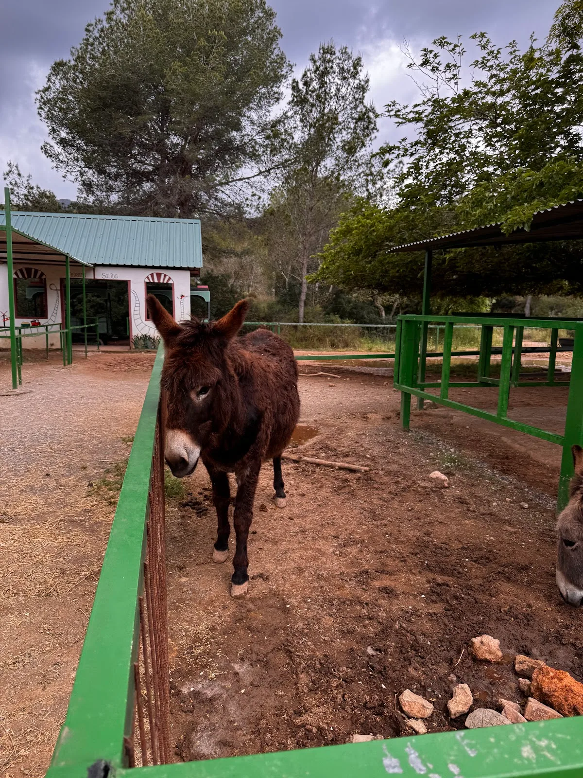 Aventura Valencia — foto 8