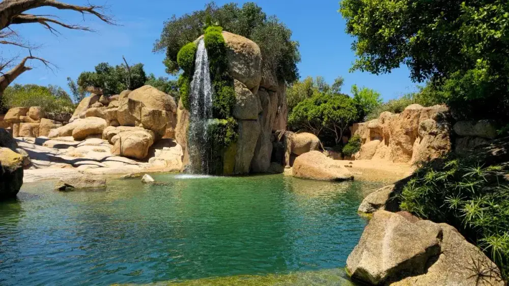 Bioparc Valencia — Parque de animales — foto 9