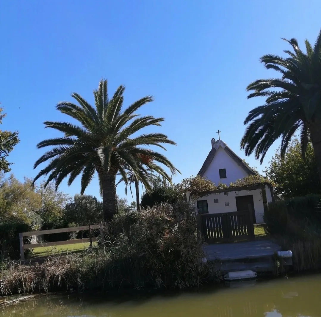 El Palmar (L'Albufera) — foto 2