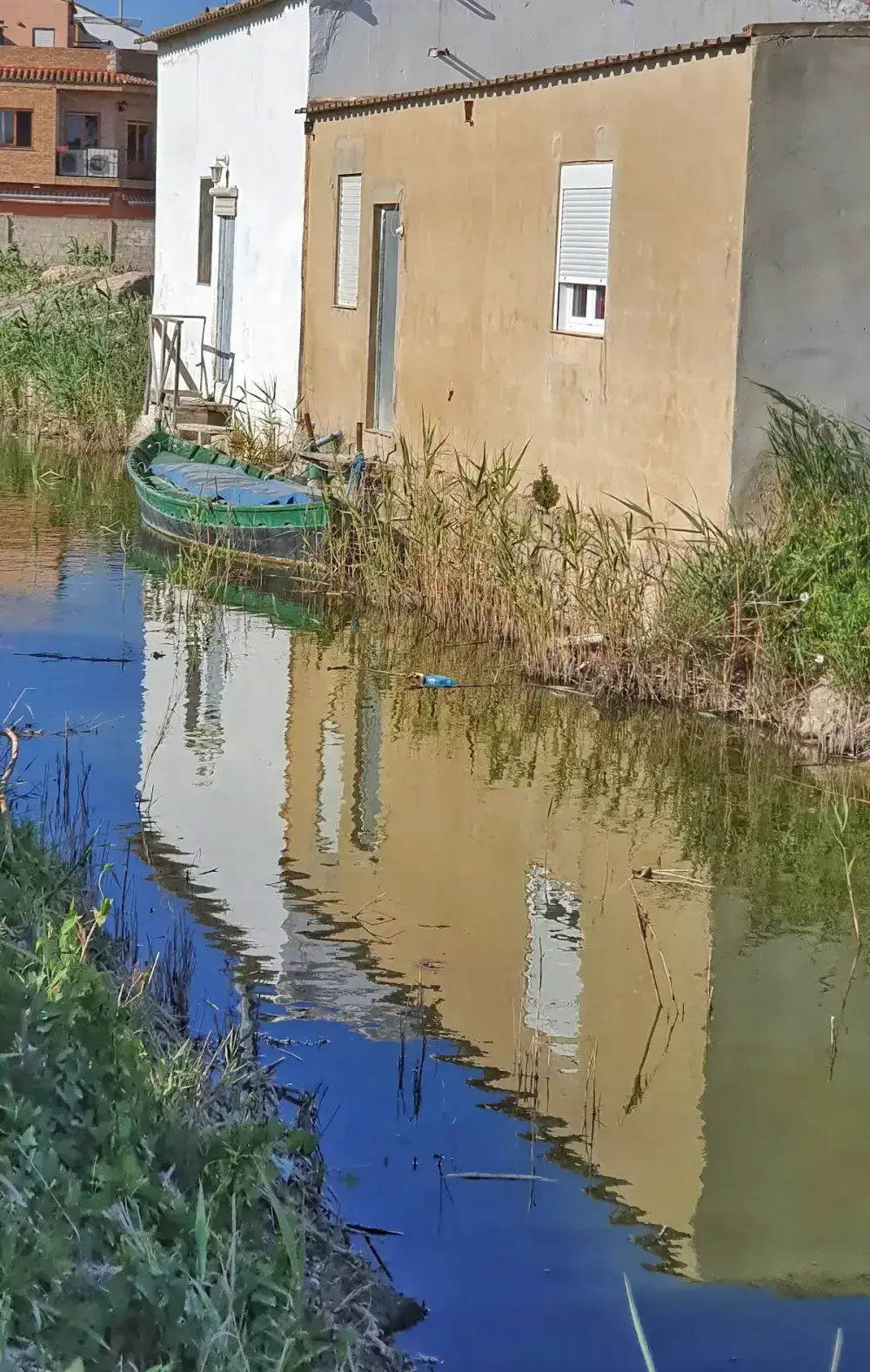 El Palmar (L'Albufera) — foto 5