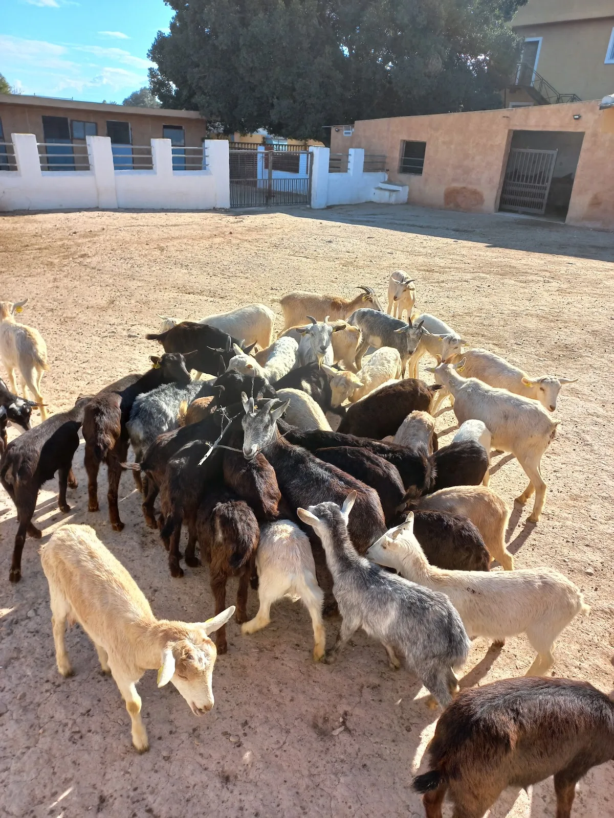 Granja Escuela La Loma — foto 3