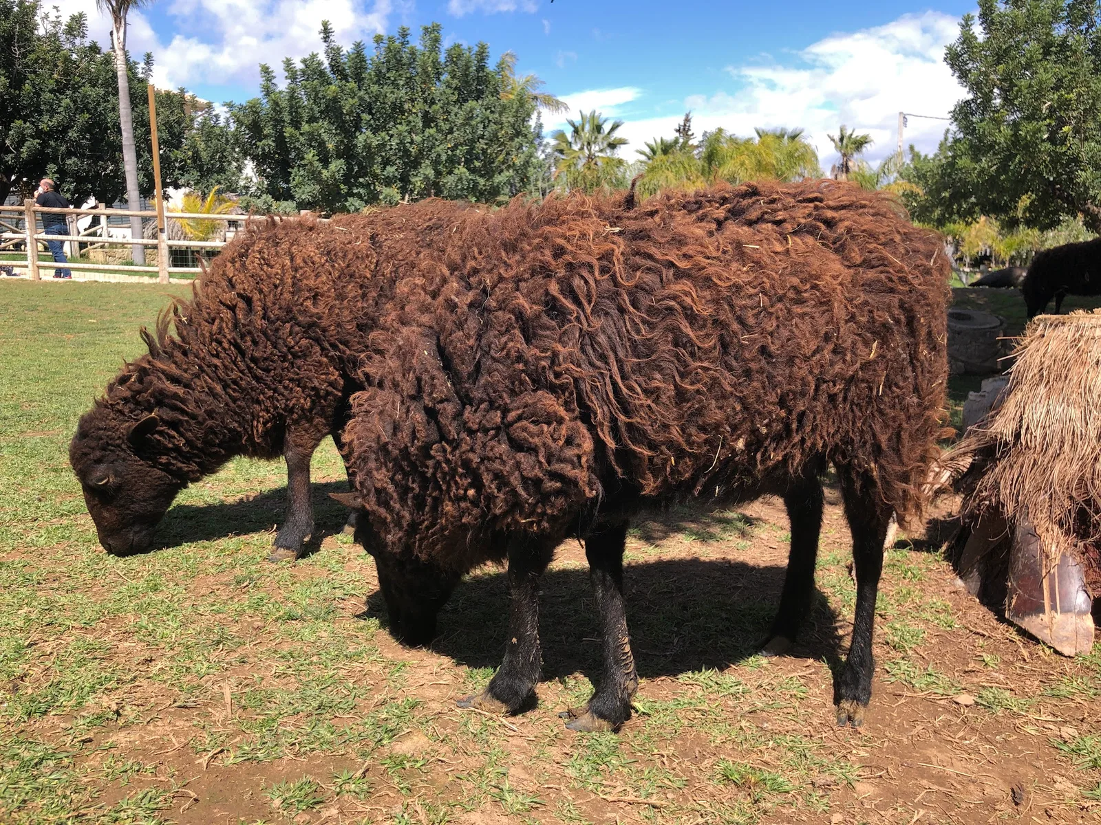 Granja La Villa Junior — foto 4
