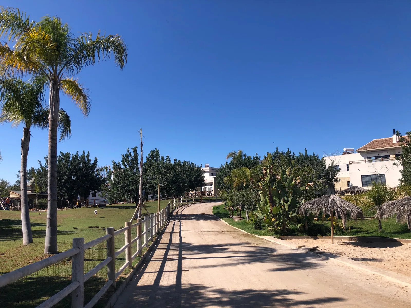 Granja La Villa Junior — foto 5