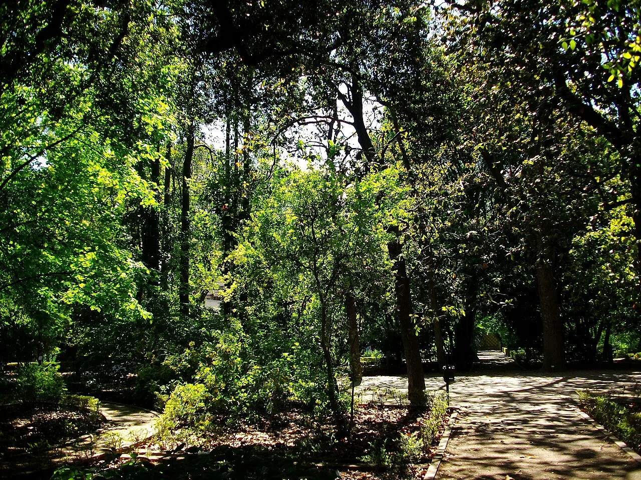 Jardí Botànic de València