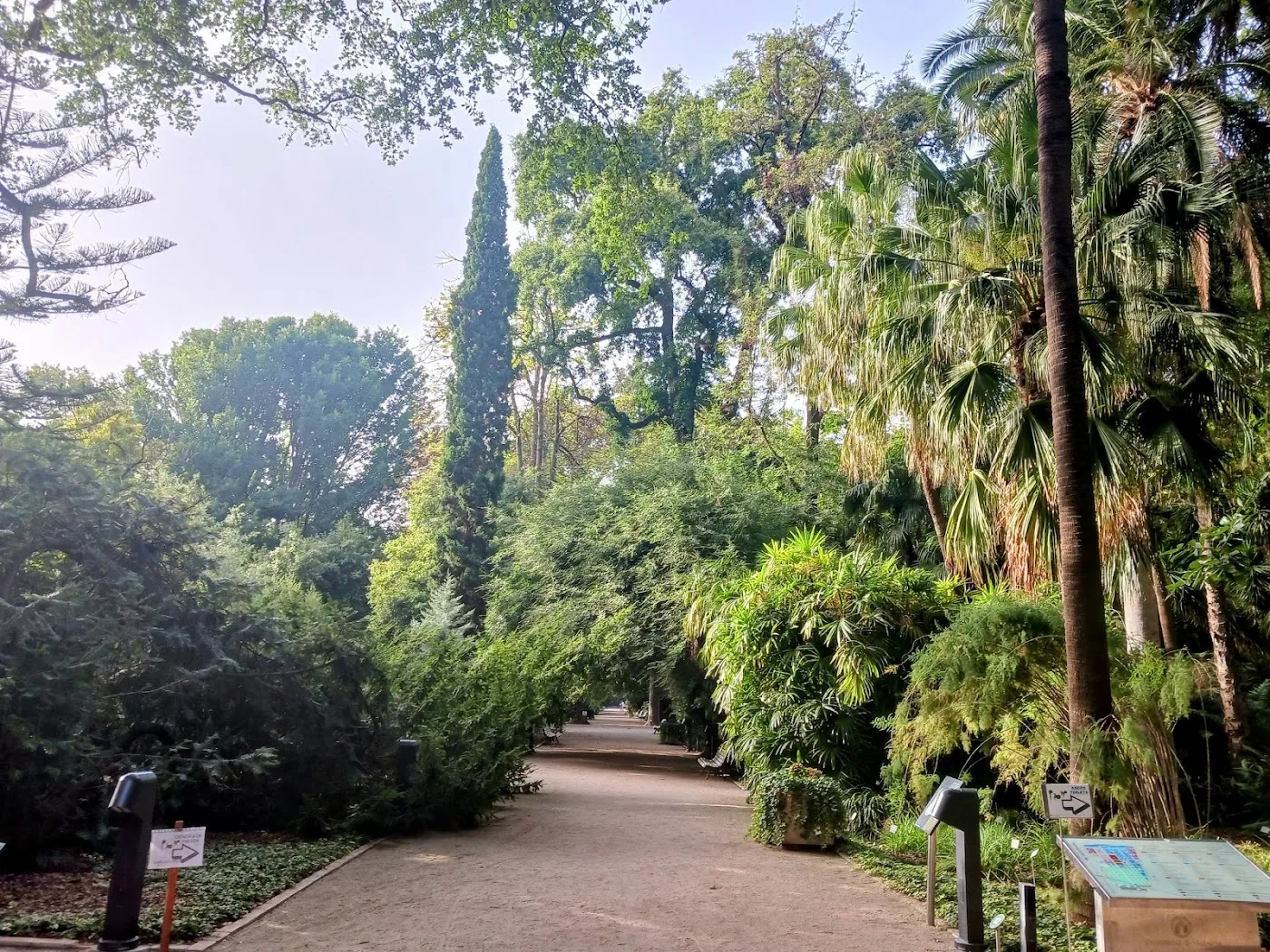 Jardí Botànic de València — foto 10