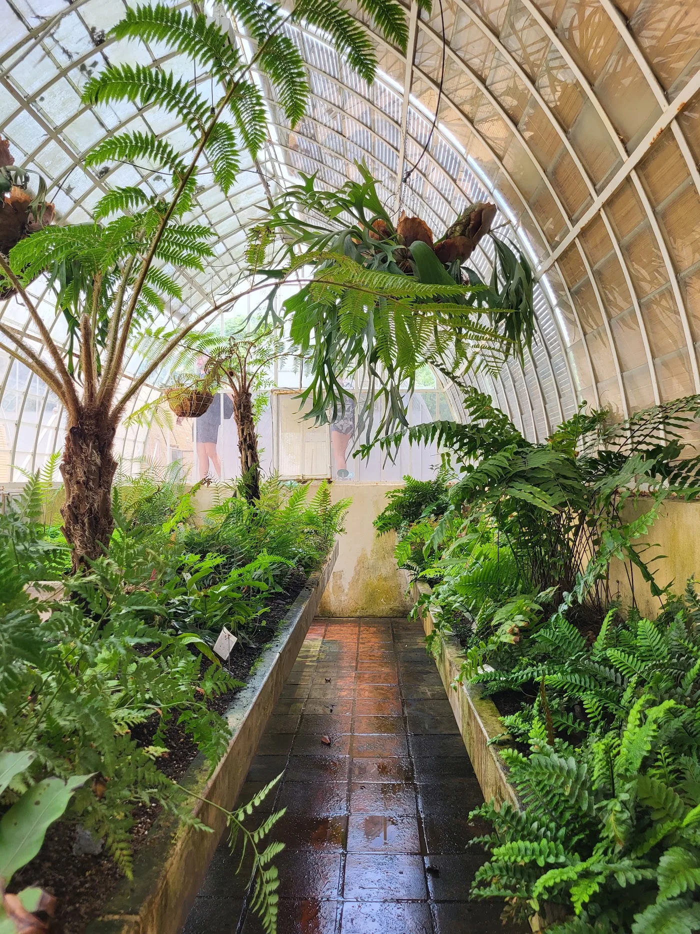 Jardí Botànic de València — foto 4