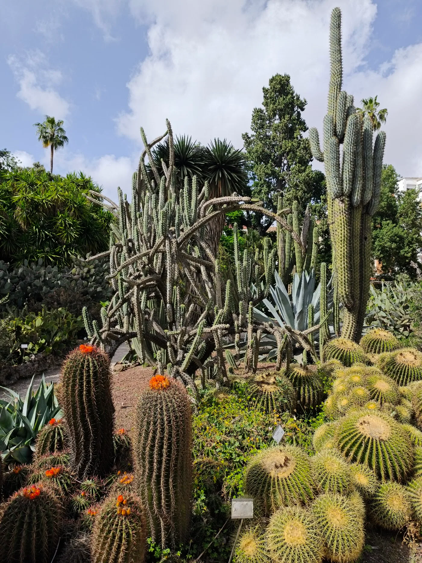 Jardí Botànic de València — foto 5