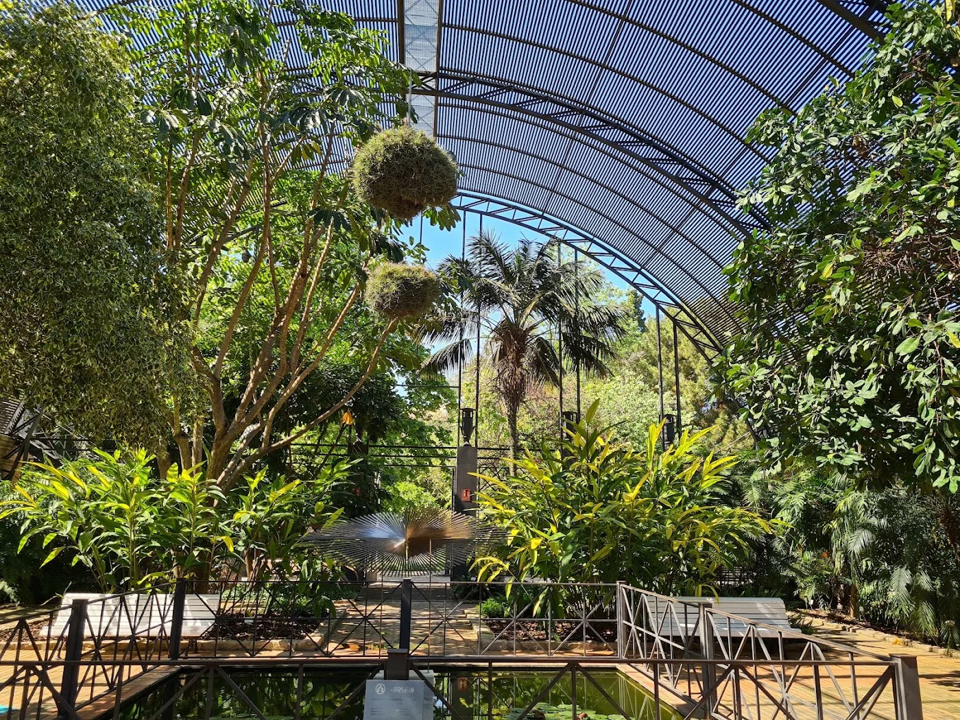 Jardí Botànic de València — foto 6