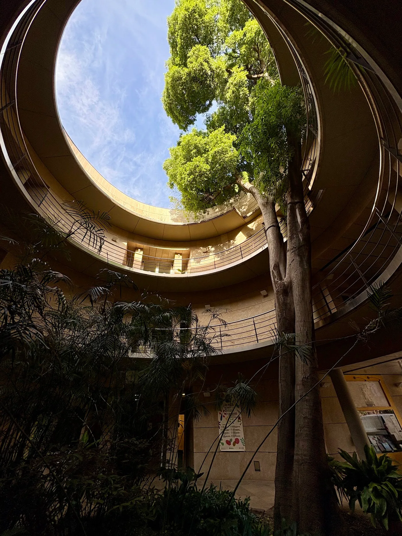 Jardí Botànic de València — foto 8