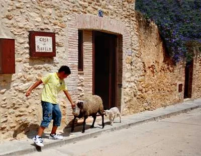 La Granja (Mediterránea Rural) — foto 6