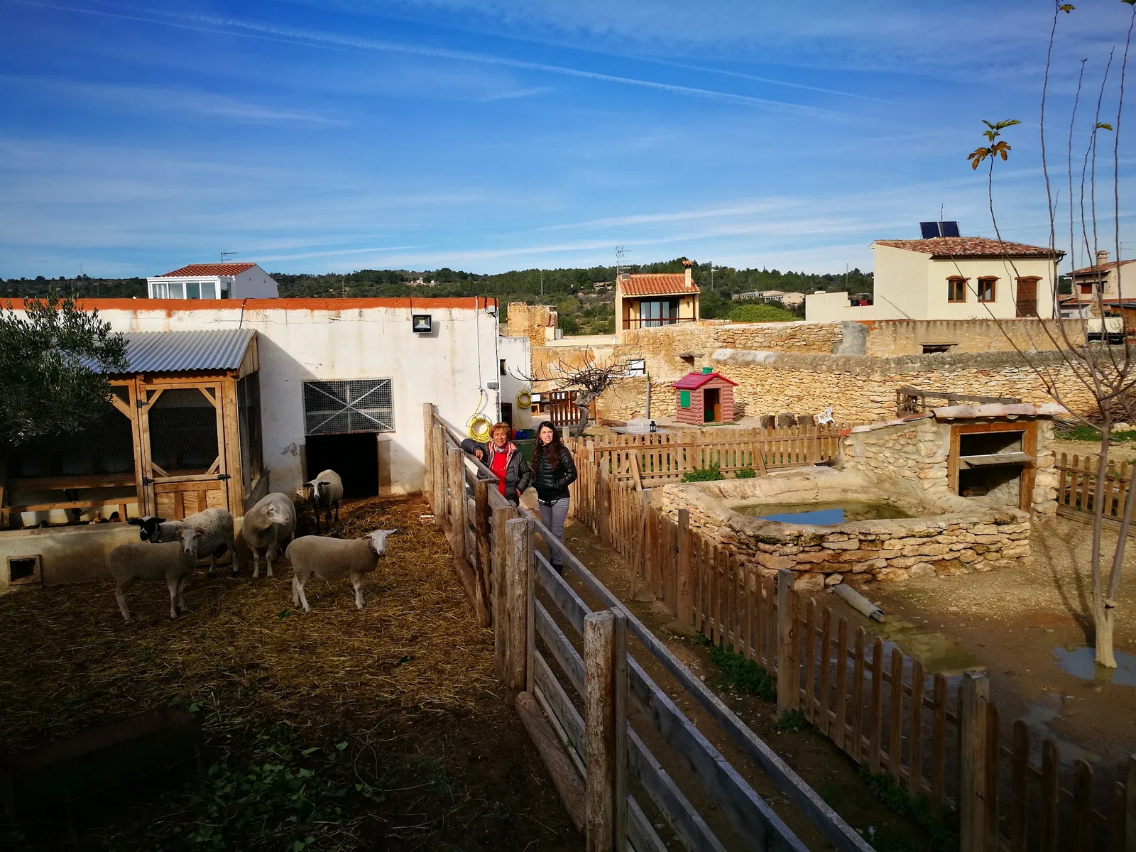 La Granja (Mediterránea Rural) — foto 8