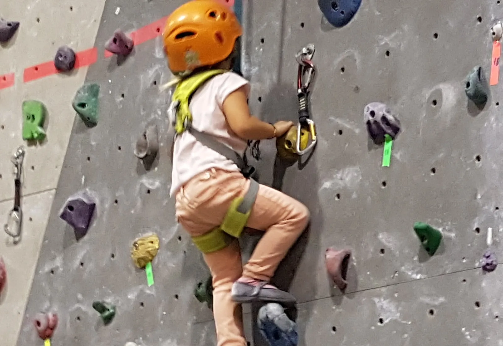 Laif Climbing Gym — foto 4