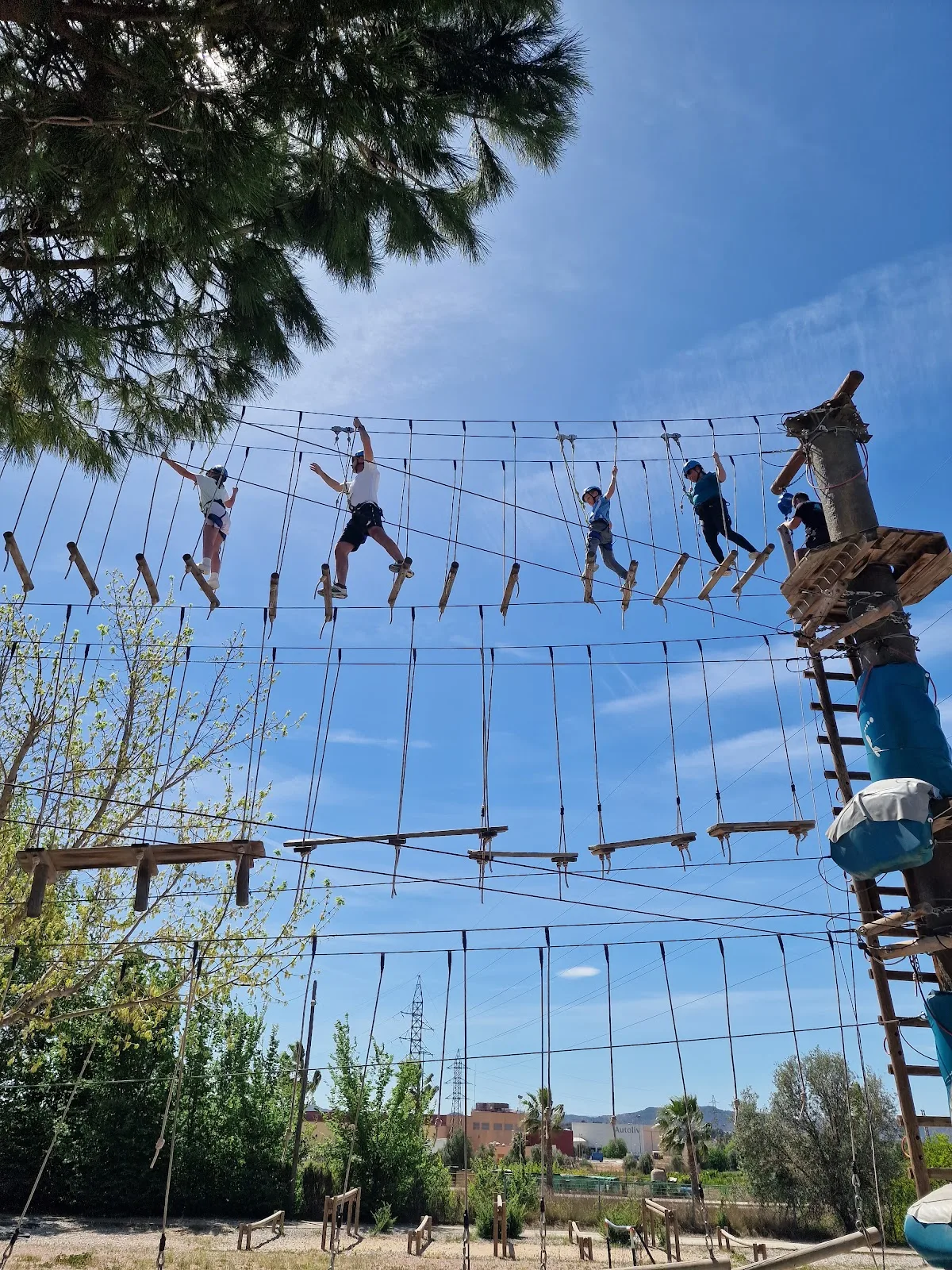 Masia Tous — foto 2