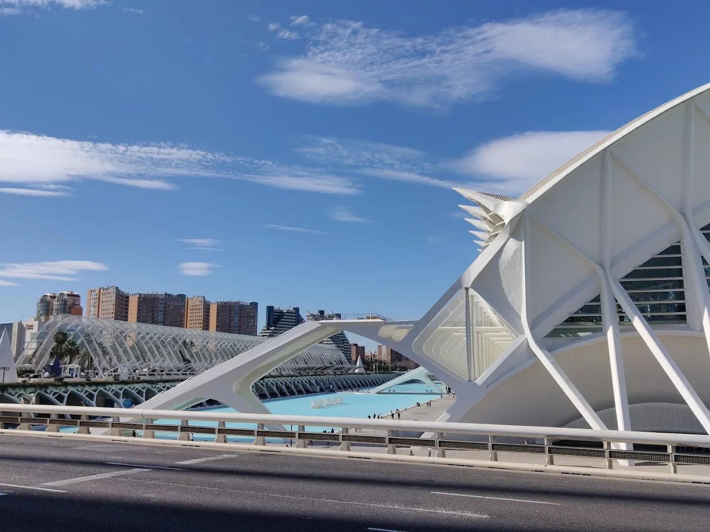 Museo de las Ciencias Príncipe Felipe — foto 8