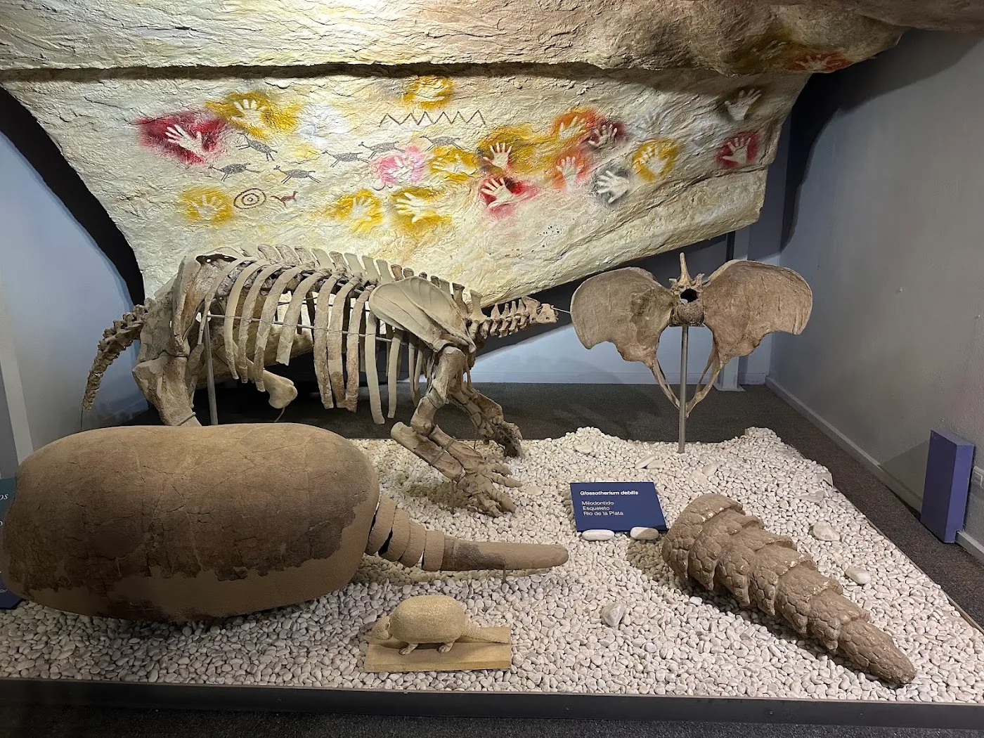 Museo de las Ciencias Naturales — Dinosaurios — foto 4