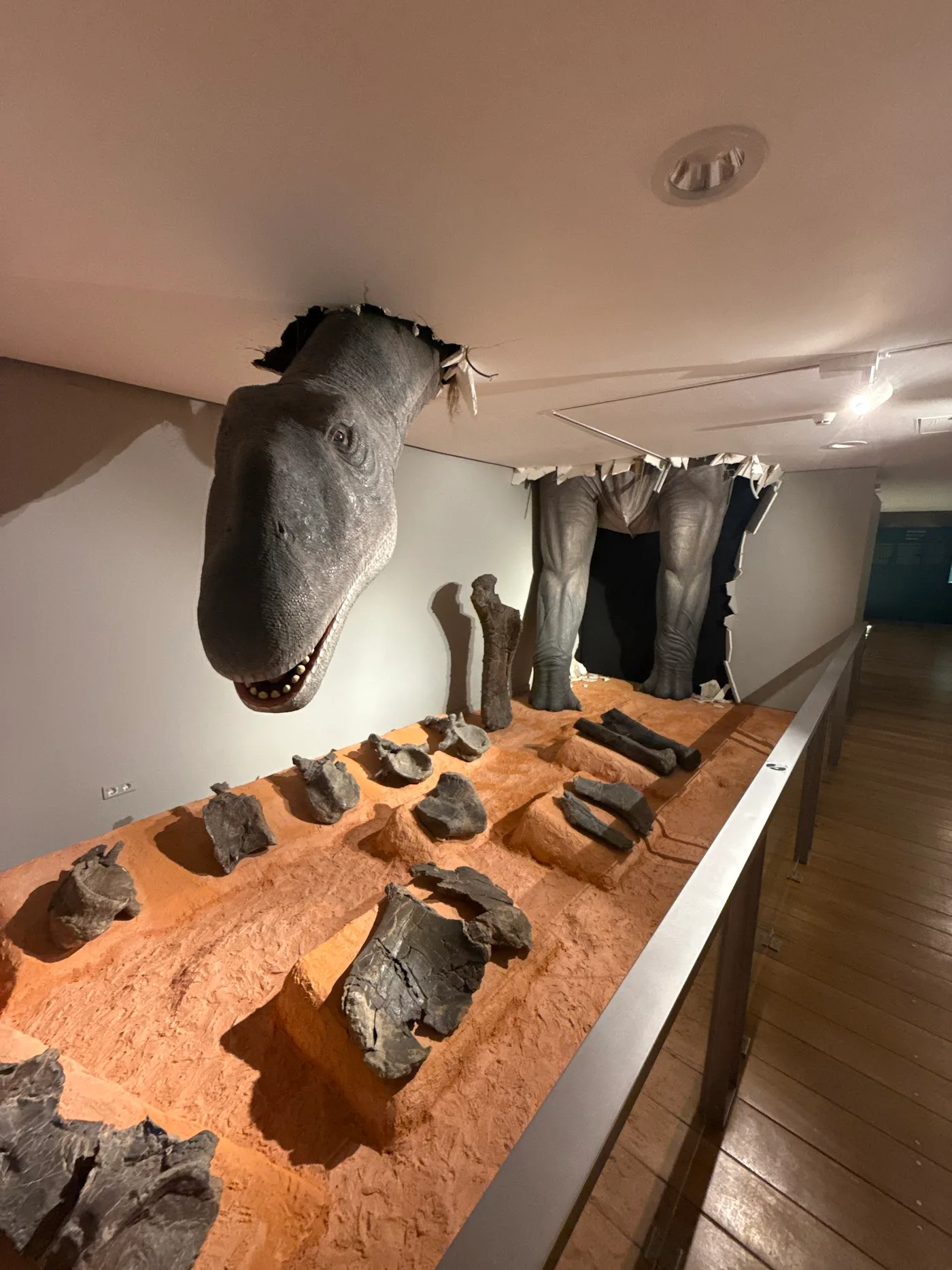 Museo de las Ciencias Naturales — Dinosaurios — foto 9