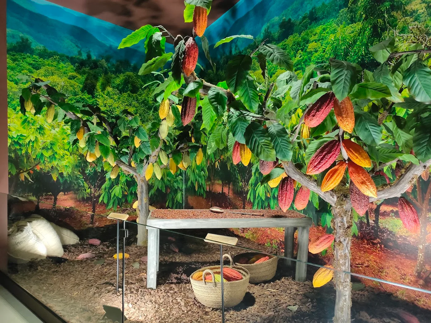 Museo del Chocolate Valor — Gratis y dulce — foto 8