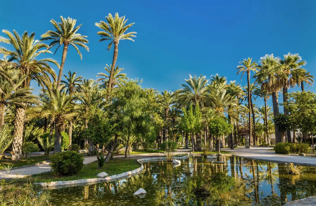 Palmeral de Elche — Parque del Palmeral (UNESCO)