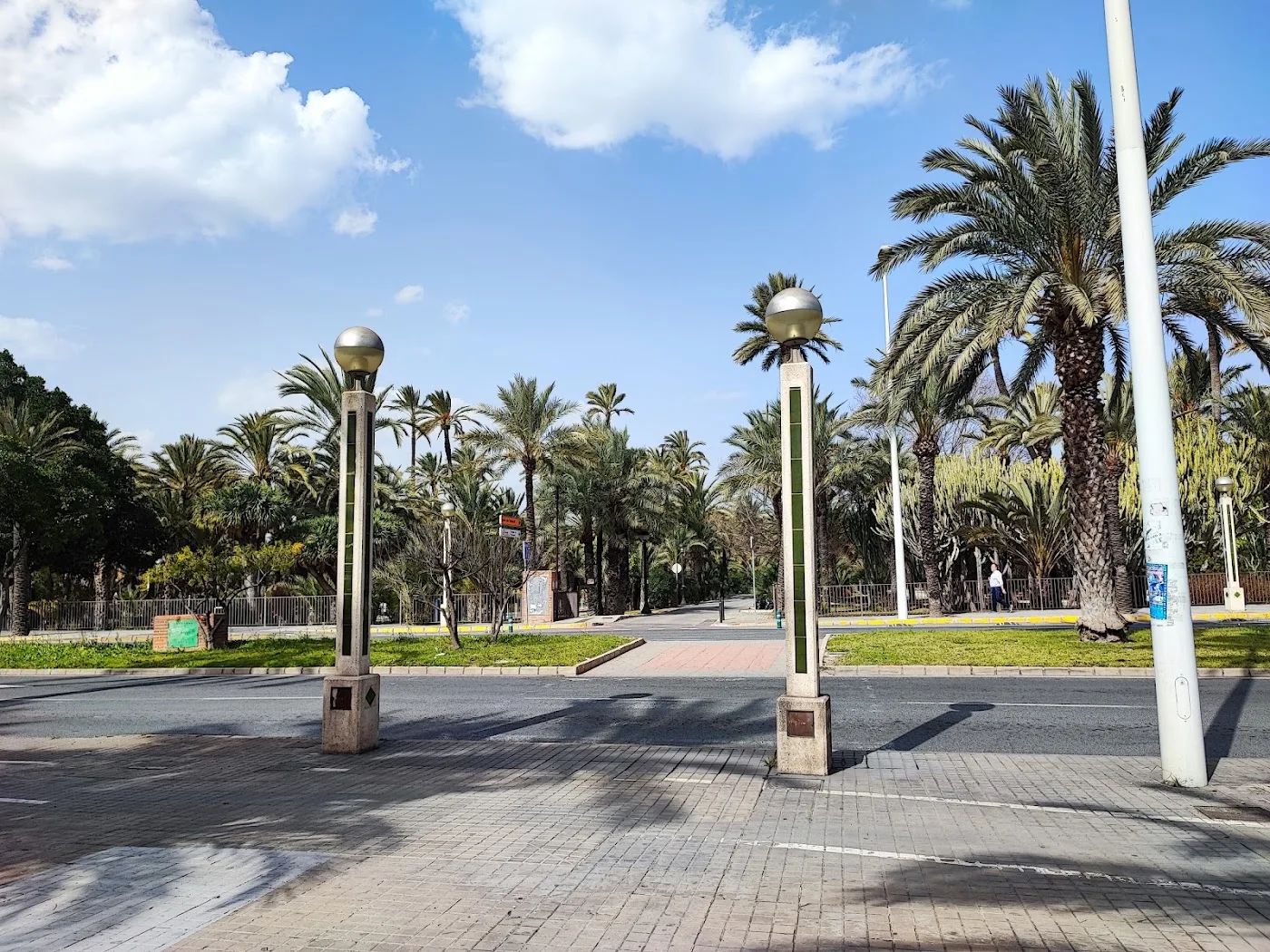 Palmeral de Elche — Parque del Palmeral (UNESCO) — foto 10