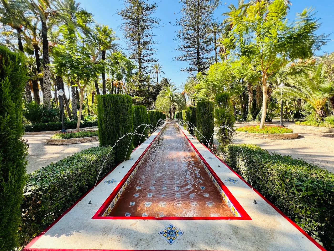 Palmeral de Elche — Parque del Palmeral (UNESCO) — foto 2