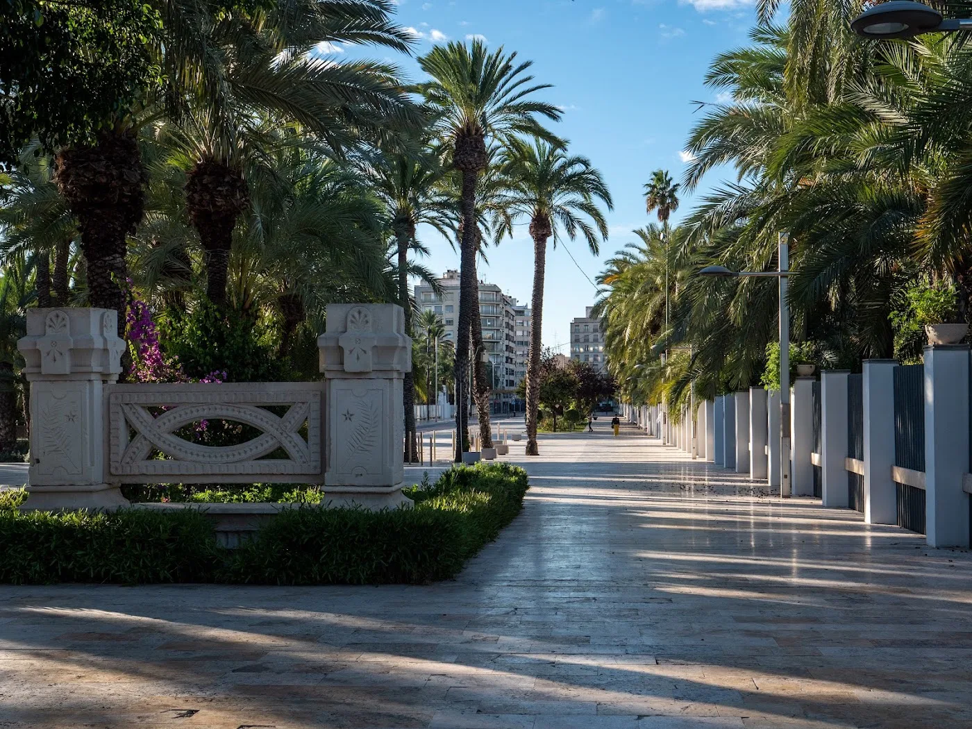 Palmeral de Elche — Parque del Palmeral (UNESCO) — foto 7