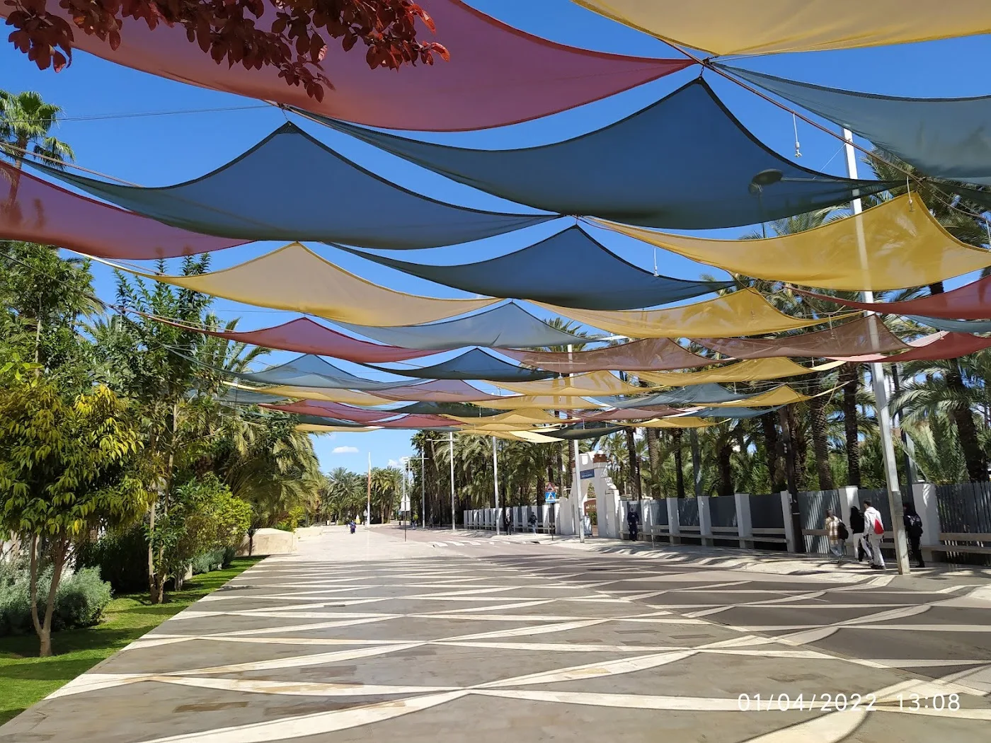 Palmeral de Elche — Parque del Palmeral (UNESCO) — foto 8