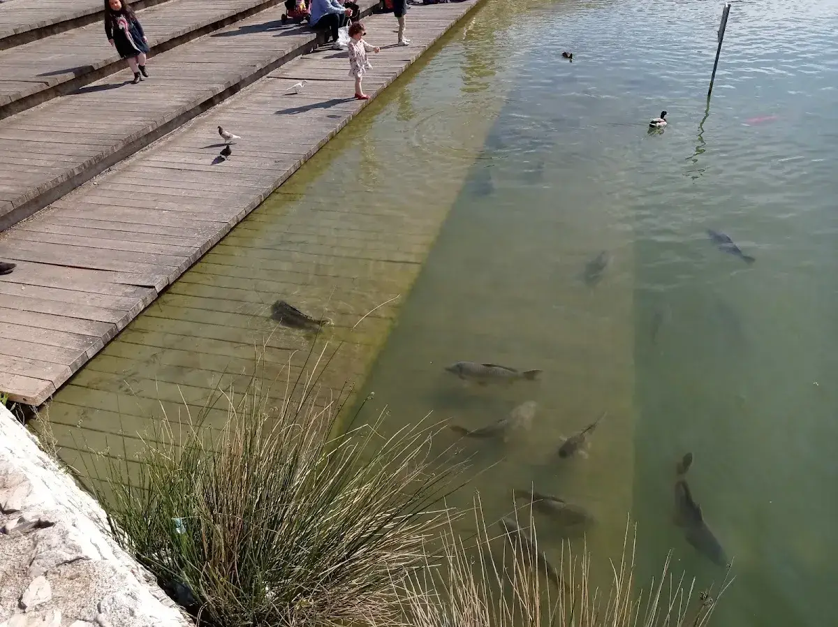 Parque de Cabecera — foto 3
