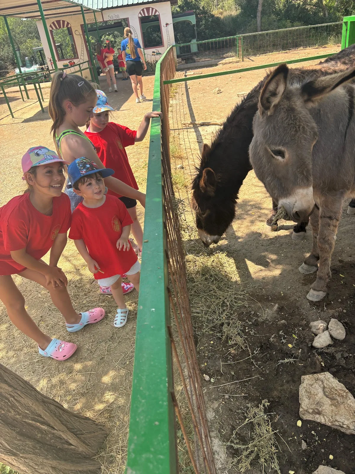 Parque El Pla — foto 6