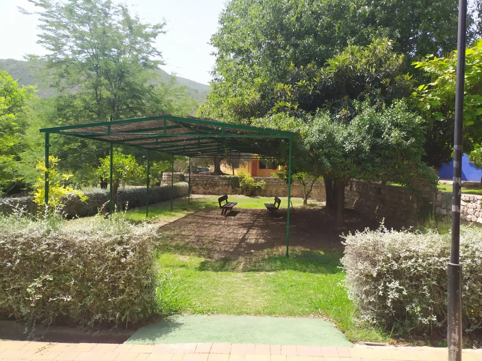 PauNatura — foto 5
