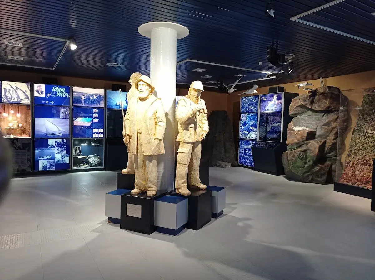 Planetario de Castellón — foto 3