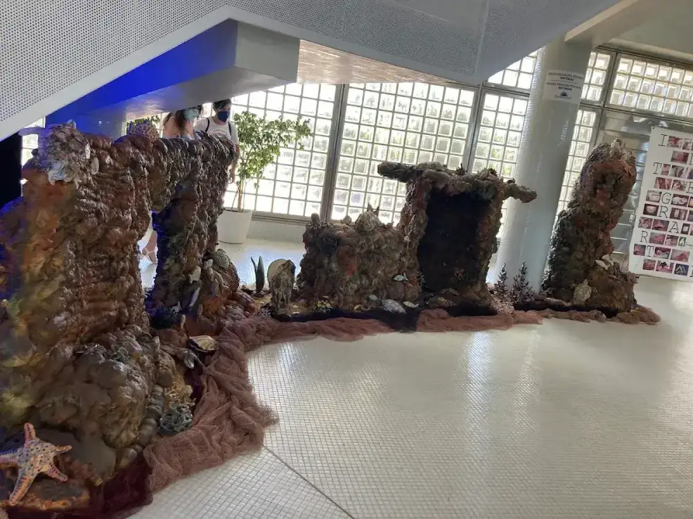Planetario de Castellón — foto 6