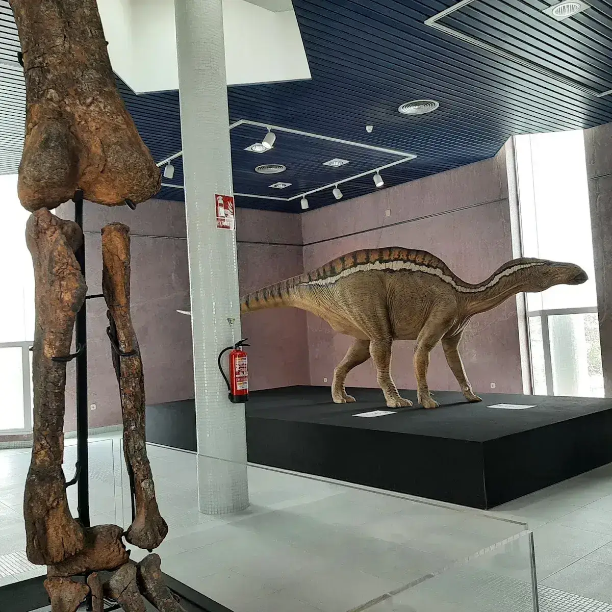 Planetario de Castellón — foto 7