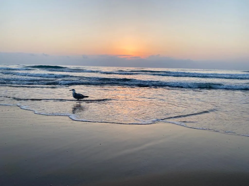 Playa de Gandia — foto 7