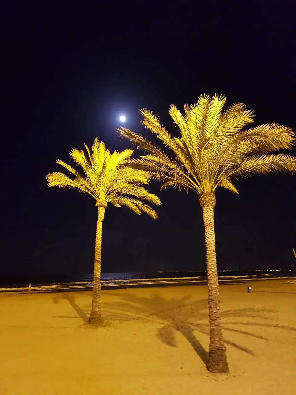 Playa del Racó (Cullera) — foto 4