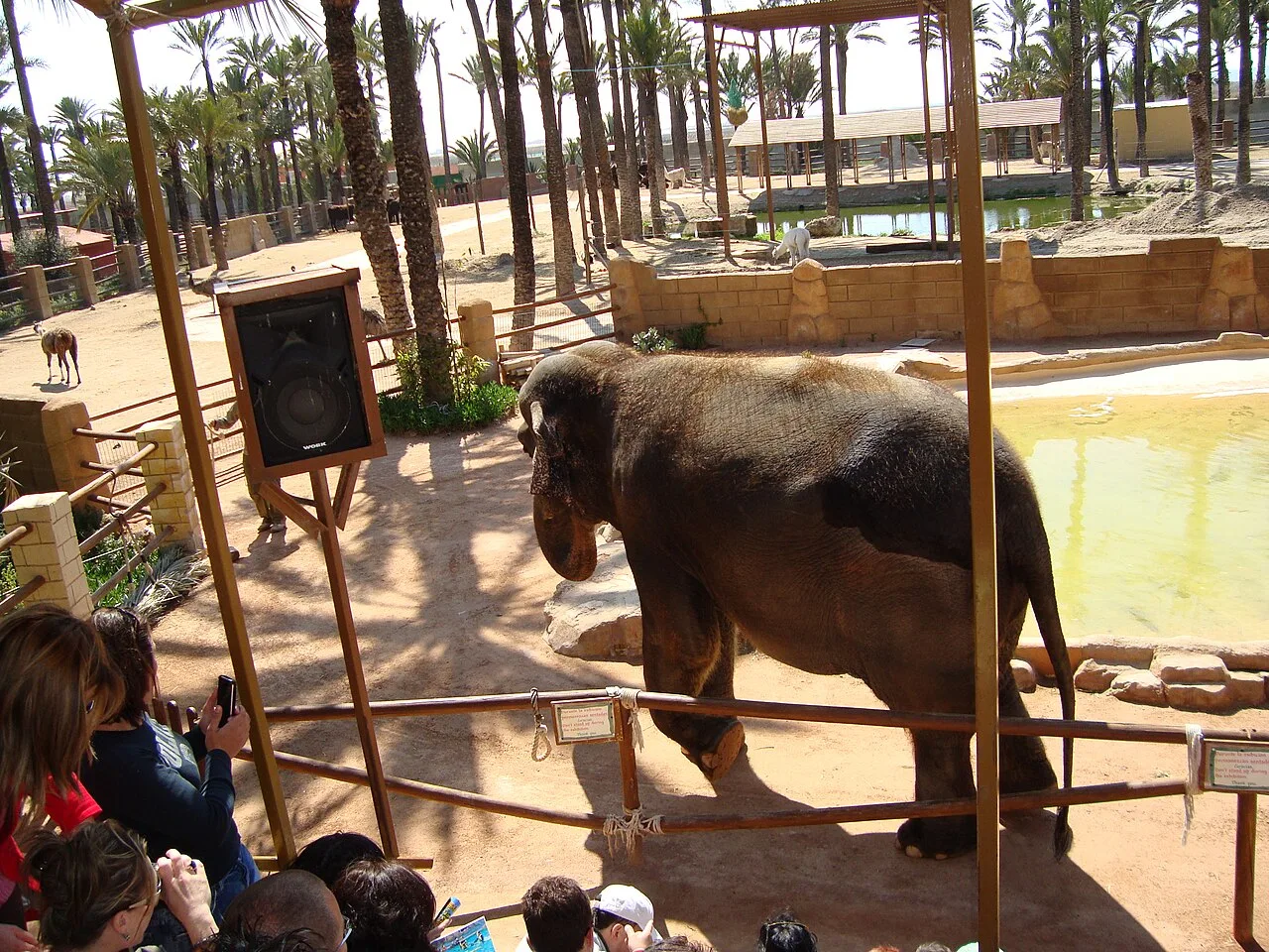 Río Safari Elche — Parque de animales — foto 2