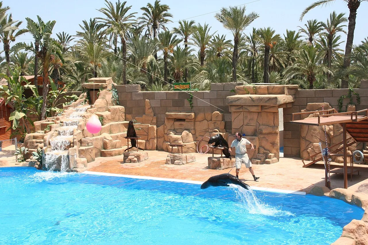Río Safari Elche — Parque de animales — foto 4