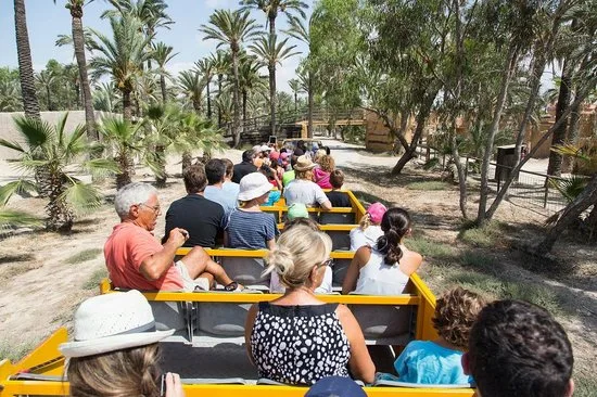 Río Safari Elche — Parque de animales — foto 6