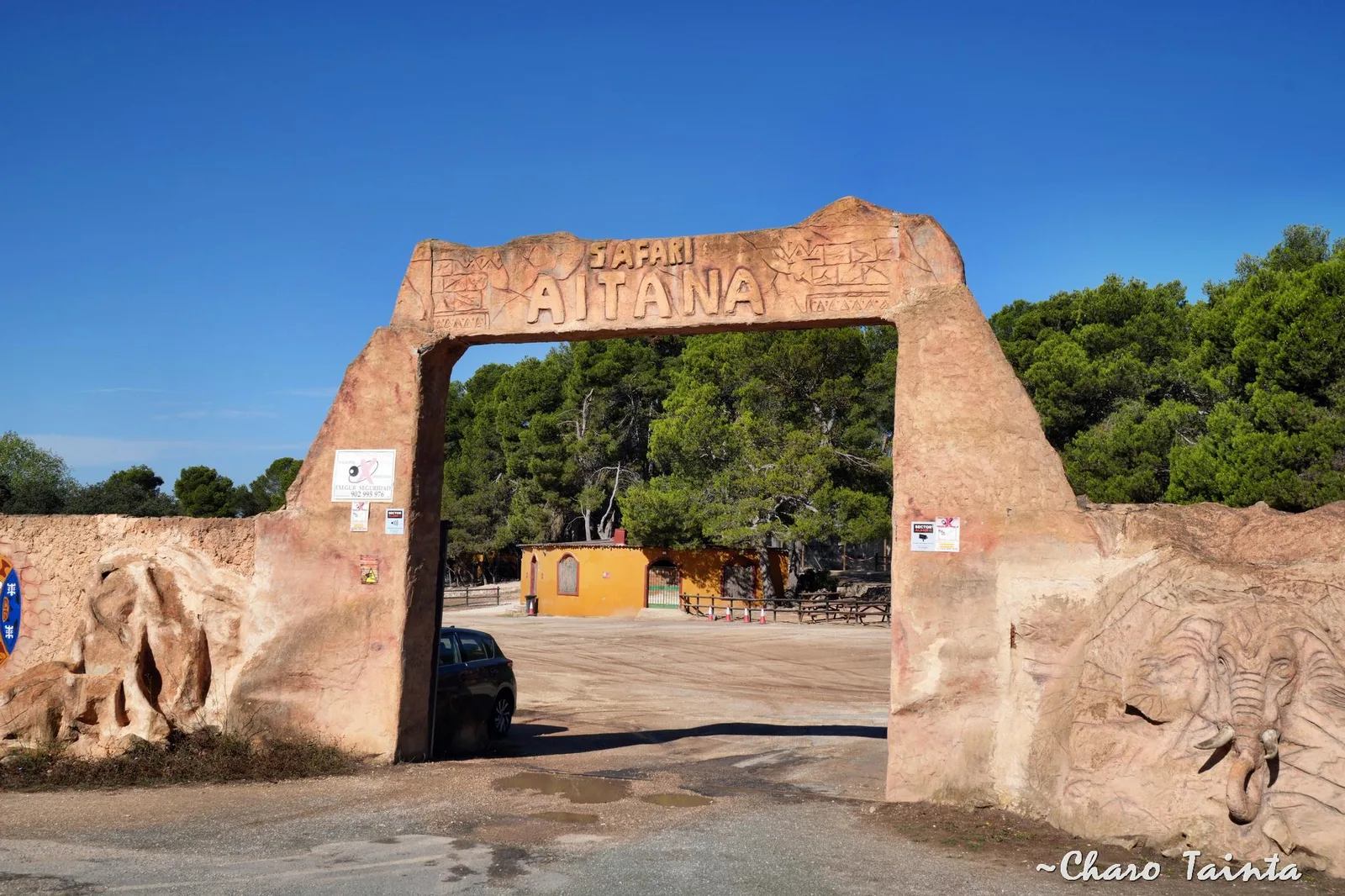 Safari Aitana — foto 9