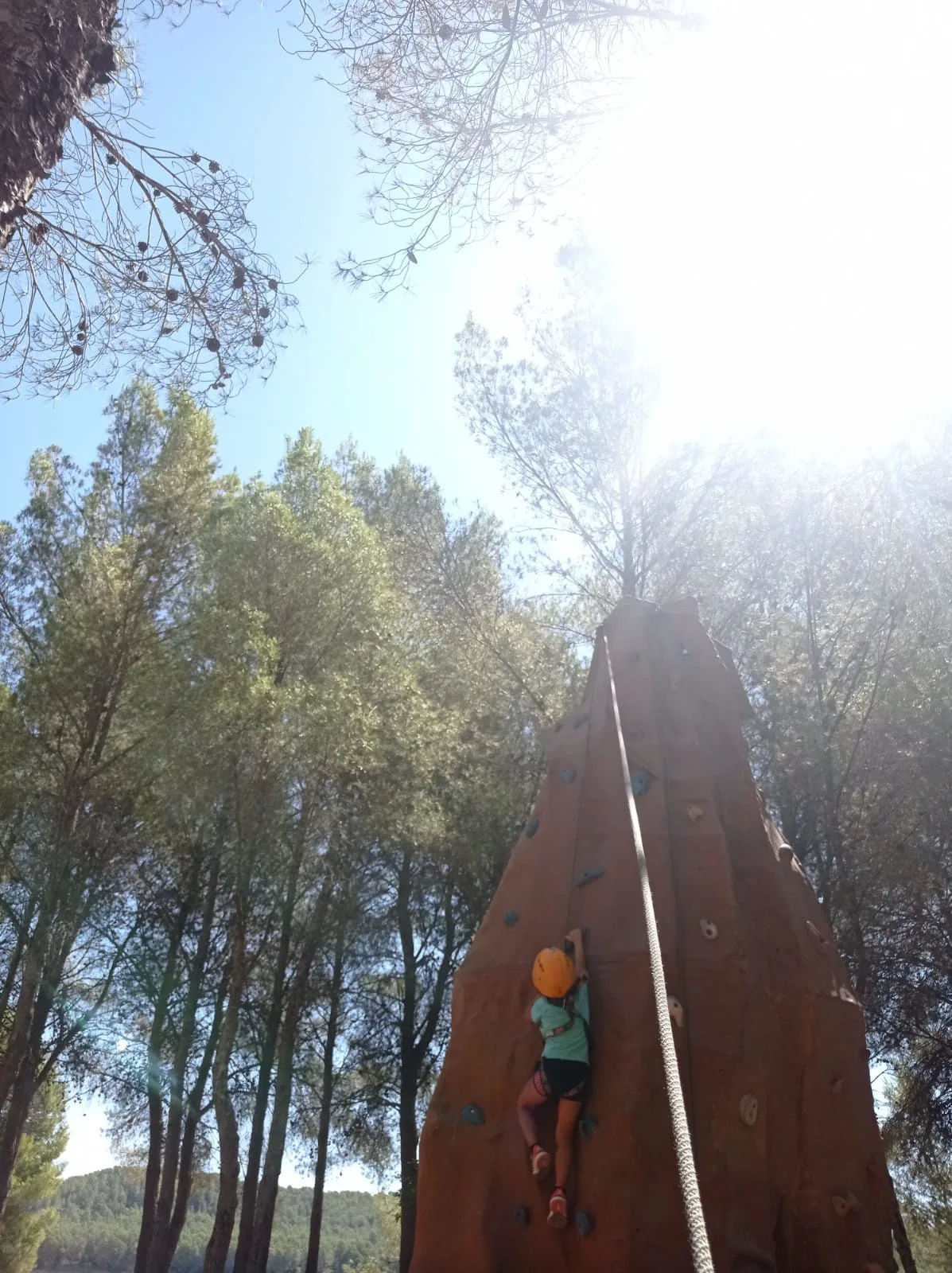 Sargantana Aventura — foto 10