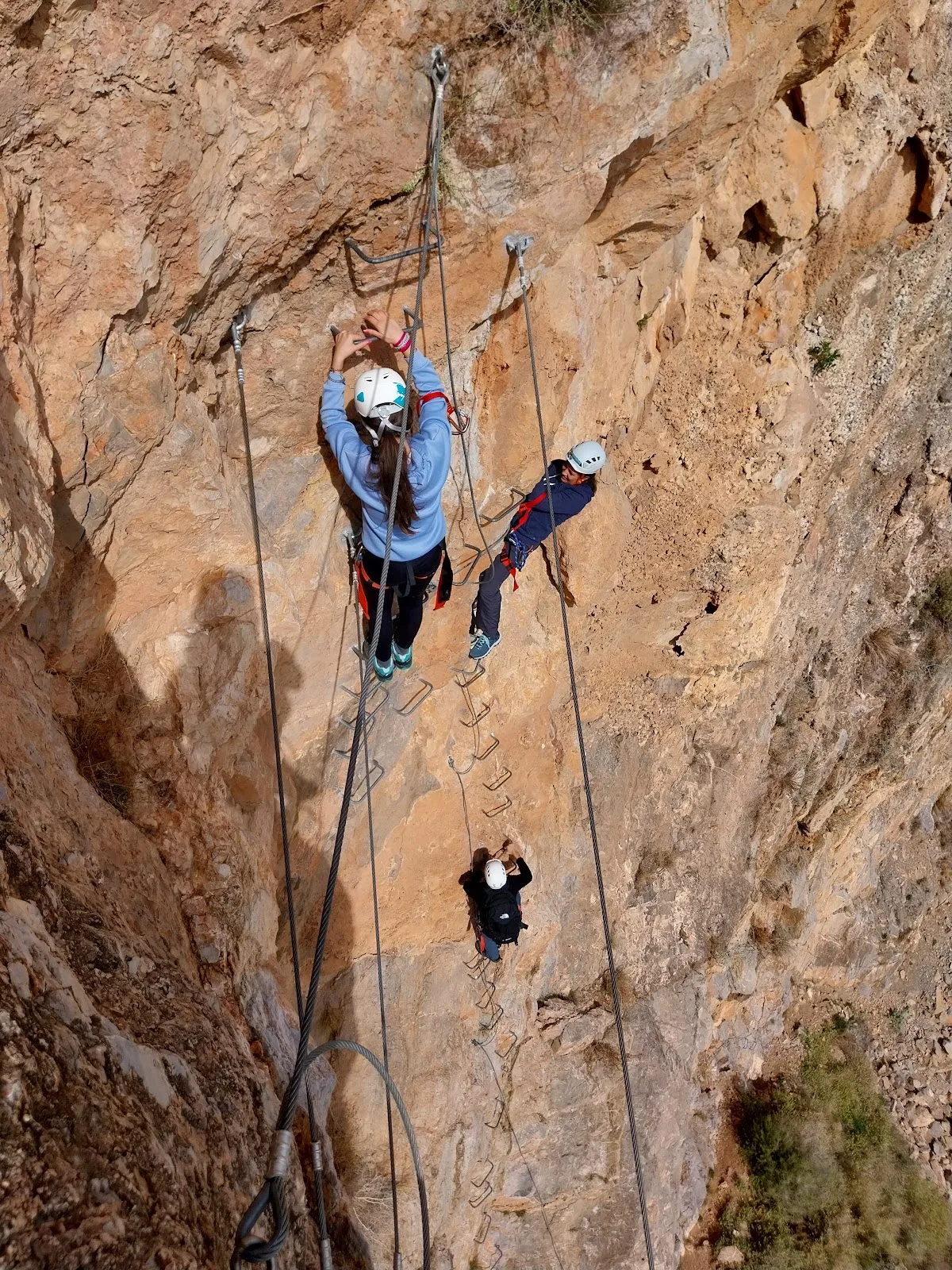 Sargantana Aventura — foto 2