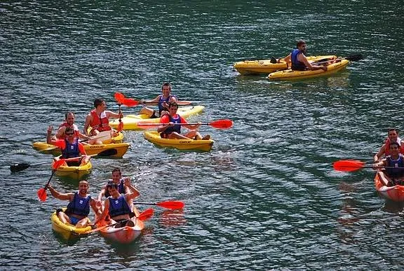 Sargantana Aventura — foto 3