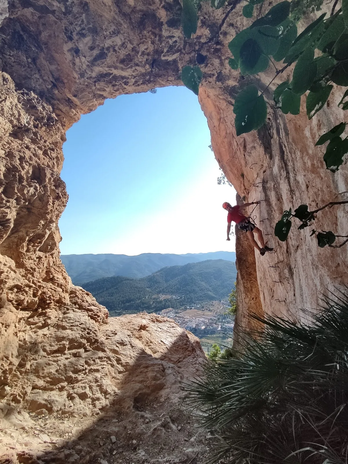 Sargantana Aventura — foto 5