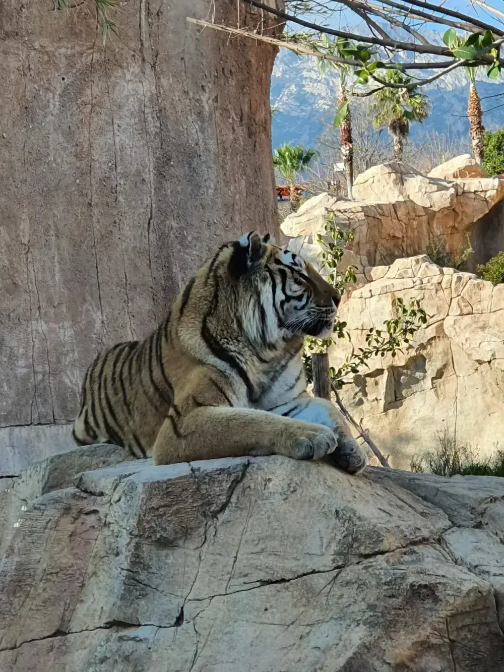 Terra Natura Benidorm — foto 3