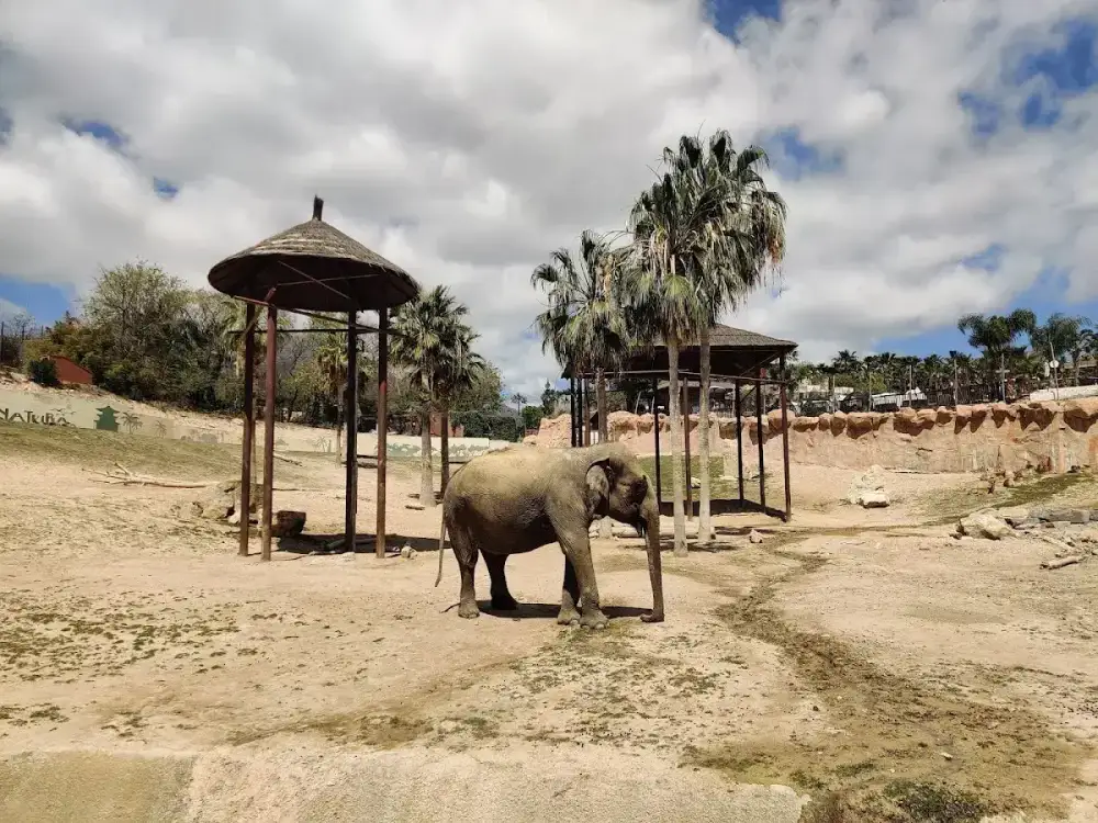 Terra Natura Benidorm — foto 4