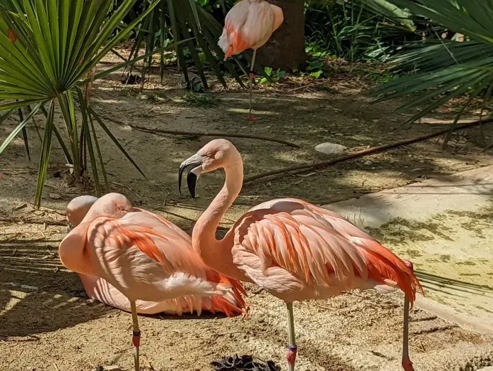 Terra Natura Benidorm — foto 6